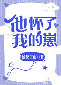 他怀了我的孩子