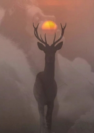 ��HP������֮Ů��